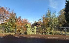 Peaceful Home From Home - Spacious 3 Bedroom House Accommodating 7 - Ideal For Families And Workers
